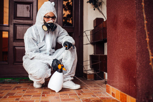 Reliable Bed Bug Control contractor in Fort Pierce, FL by Nex Pest Control