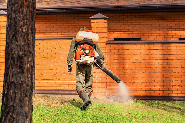 Trusted Termite Control service in Fort Pierce, FL - Nex Pest Control